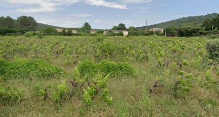 Garéoult Terrain à bâtir - 2215199-11137annonce120250704rHgin.jpeg Maisons France Confort