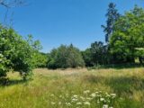 Terrain à bâtir à Lagraulière (19700) 2215173-11302annonce120250704ExPeX.jpeg Maisons France Confort
