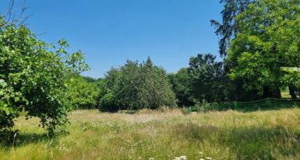 Lagraulière Terrain à bâtir - 2215173-11302annonce120250704ExPeX.jpeg Maisons France Confort