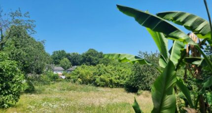 Lagraulière Terrain à bâtir - 2215173-11302annonce220250704upeiI.jpeg Maisons France Confort