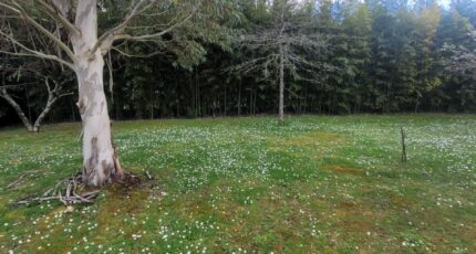 Saint-Sulpice-et-Cameyrac Terrain à bâtir - 2173682-11293annonce220250528GL3TU.jpeg Maisons France Confort