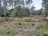 Terrain à bâtir à Montfort-sur-Argens (83570) 2217723-11137annonce220250708G8yO8.jpeg Maisons France Confort