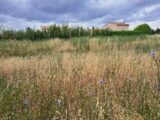 Maison à construire à Saint-Cannat (13760) 2217740-11041annonce120250708D3LIq.jpeg Maisons France Confort