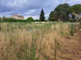 Maison à construire à Saint-Cannat (13760) 2217740-11041annonce220250708ZEy2P.jpeg Maisons France Confort