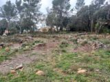 Terrain à bâtir à Montfort-sur-Argens (83570) 2217746-11137annonce120250708uVBeR.jpeg Maisons France Confort