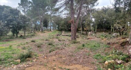 Montfort-sur-Argens Terrain à bâtir - 2217746-11137annonce320250708z9T5D.jpeg Maisons France Confort