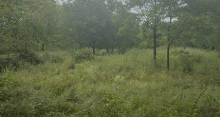 La Brède Terrain à bâtir - 2217734-10776annonce120250708QE8pJ.jpeg Maisons France Confort