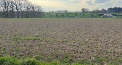 Fresquiennes Terrain à bâtir - 2217121-11217annonce320250707pdPWh.jpeg Maisons France Confort