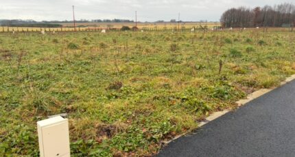 Hattenville Terrain à bâtir - 2216754-11217annonce120250707vxV6S.jpeg Maisons France Confort
