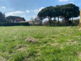 Maison à construire à Saint-Augustin (17570) 2218559-11163annonce120250708MCZ3C.jpeg Maisons France Confort