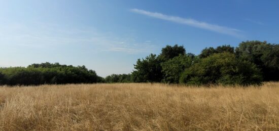 Terrain à bâtir à , Gironde