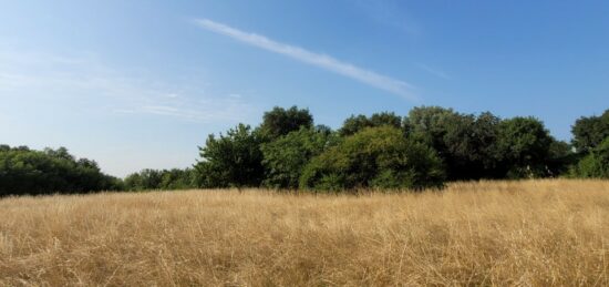 Terrain à bâtir à , Gironde