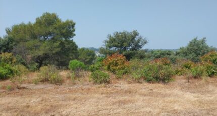 Fréjus Terrain à bâtir - 2218742-11157annonce220250708Sd4mf.jpeg Maisons France Confort