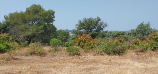 Terrain à bâtir à Fréjus, Provence-Alpes-Côte d'Azur