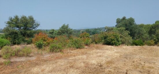 Terrain à bâtir à , Var