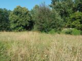 Terrain à bâtir à Saint-Raphaël (83700) 2218071-11157annonce420250708Xp8Ct.jpeg Maisons France Confort