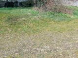 Terrain à bâtir à Chamadelle (33230) 2219072-11131annonce120250709C14w3.jpeg Maisons France Confort