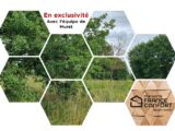 Maison à construire à Seysses (31600) 2218178-6043annonce120250708aZtk6.jpeg Maisons France Confort