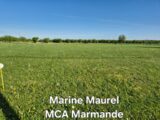 Terrain à bâtir à Taillecavat (33580) 2219503-11161annonce120250709usGct.jpeg Maisons France Confort