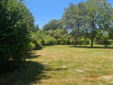 Maison à construire à Bazas (33430) 2219802-11284annonce120250709pT50W.jpeg Maisons France Confort