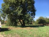 Maison à construire à Jouars-Pontchartrain (78760) 2219633-10686annonce120250709sIaAu.jpeg Maisons France Confort