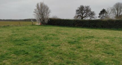 Panilleuse Maison neuve - 2219996-5689annonce1202507099wr48.jpeg Maisons France Confort