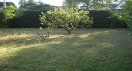 Saintry-sur-Seine Maison neuve - 2217887-11226annonce120250708LduFH.jpeg Maisons France Confort