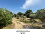 Terrain à bâtir à Draguignan (83300) 2220524-3951annonce120250710ahdTU.jpeg Maisons France Confort