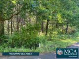 Terrain à bâtir à Sanguinet (40460) 2220540-5828annonce120250613ct58L.jpeg Maisons France Confort