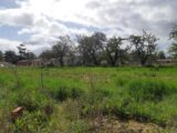 Terrain à bâtir à Finhan (82700) 2219914-5202annonce2202507090T9lU.jpeg Maisons France Confort