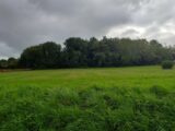 Terrain à bâtir à Sadirac (33670) 2221114-11266annonce120250710HML72.jpeg Maisons France Confort