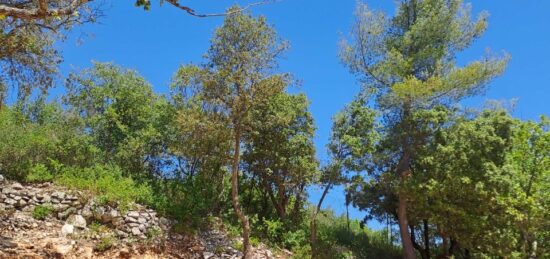 Terrain à bâtir à , Var