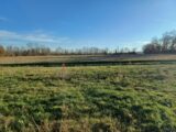 Terrain à bâtir à Lézat-sur-Lèze (09210) 2220260-3133annonce320250710BdfqV.jpeg Maisons France Confort