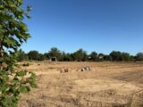 Terrain à bâtir à Bessières (31660) 2220336-11356annonce320250710x4KLQ.jpeg Maisons France Confort