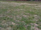 Maison à construire à Châteaurenard (13160) 2221683-3969annonce120250711Ldh8n.jpeg Maisons France Confort