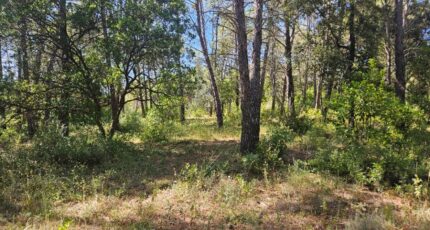 Bagnols-en-Forêt Maison neuve - 2221800-5163annonce120250711tO1NW.jpeg Maisons France Confort