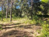 Terrain à bâtir à Bagnols-en-Forêt (83600) 2221789-5163annonce320250711mxD8T.jpeg Maisons France Confort