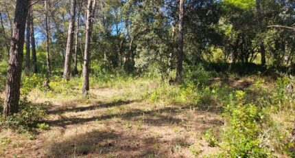 Bagnols-en-Forêt Terrain à bâtir - 2221789-5163annonce320250711mxD8T.jpeg Maisons France Confort