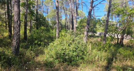 Bagnols-en-Forêt Terrain à bâtir - 2221789-5163annonce420250711arGqo.jpeg Maisons France Confort