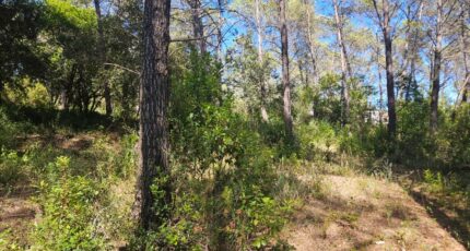 Bagnols-en-Forêt Maison neuve - 2221818-5163annonce220250711FgfkI.jpeg Maisons France Confort