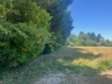 Terrain à bâtir à Tramoyes (01390) 2221458-11317annonce3202507102zUpy.jpeg Maisons France Confort