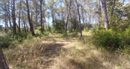 Bagnols-en-Forêt Terrain à bâtir - 2222203-10152annonce120250711xNv8e.jpeg Maisons France Confort