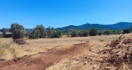 Gonfaron Terrain à bâtir - 2222236-11039annonce220250711ZfQZa.jpeg Maisons France Confort