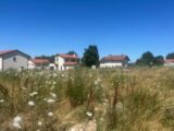 Maison à construire à Francheville (69340) 2220248-11317annonce120250710dACSm.jpeg Maisons France Confort