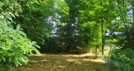Langon Maison neuve - 2222724-11141annonce220250712ZIe3g.jpeg Maisons France Confort