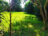Terrain à bâtir à Langon (33210) 2222726-11141annonce220250712Af8Nl.jpeg Maisons France Confort