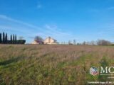 Terrain à bâtir à Agen (47000) 2223144-11091annonce120250713aFLRM.jpeg Maisons France Confort