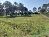 Terrain à bâtir à Puget-sur-Argens (83480) 2188804-11157annonce420250612STVTv.jpeg Maisons France Confort