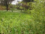 Terrain à bâtir à Puget-sur-Argens (83480) 2188804-11157annonce220250612zv807.jpeg Maisons France Confort