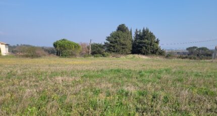 Chamaret Terrain à bâtir - 2218340-812annonce420250708aLEbF.jpeg Maisons France Confort